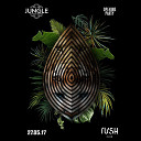 Logo Rush Club